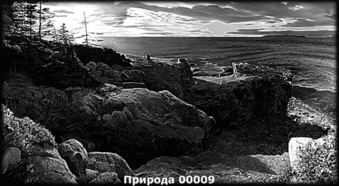 Гравировка природа №7 — основное фото — Центр Гранита Москва