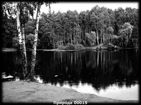 Гравировка природа №13 — основное фото — Центр Гранита Москва