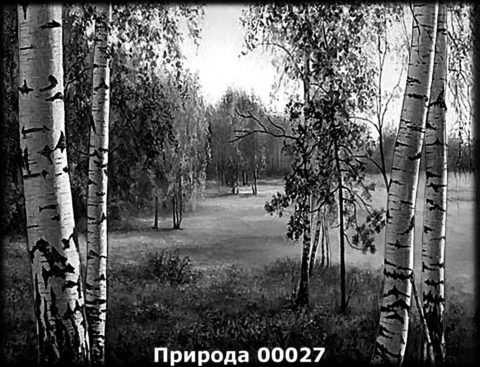 Гравировка природа №23 — основное фото — Центр Гранита Москва